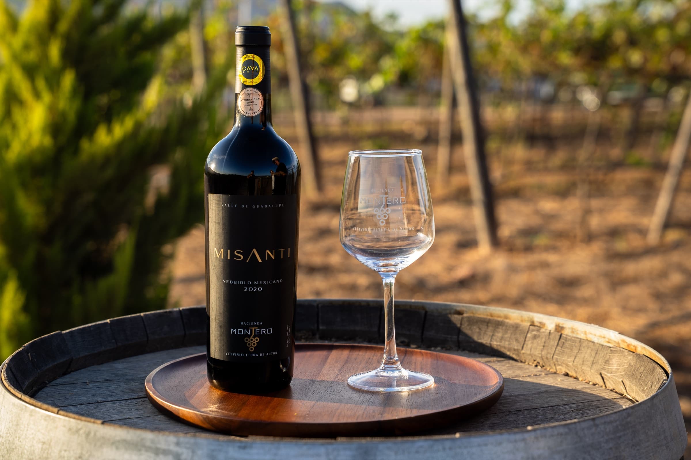 Cata de vinos + Recorrido