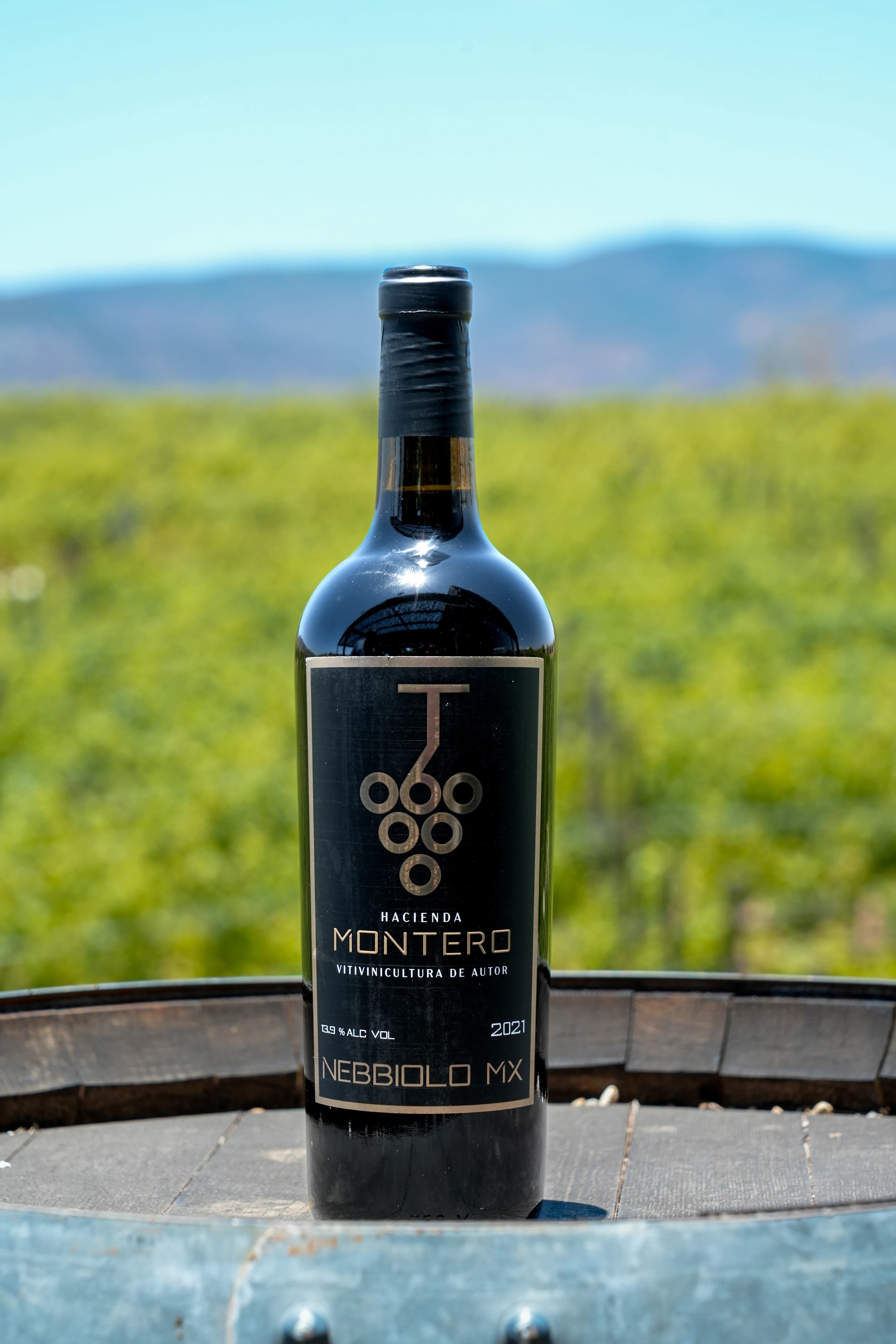 Nebbiolo MX