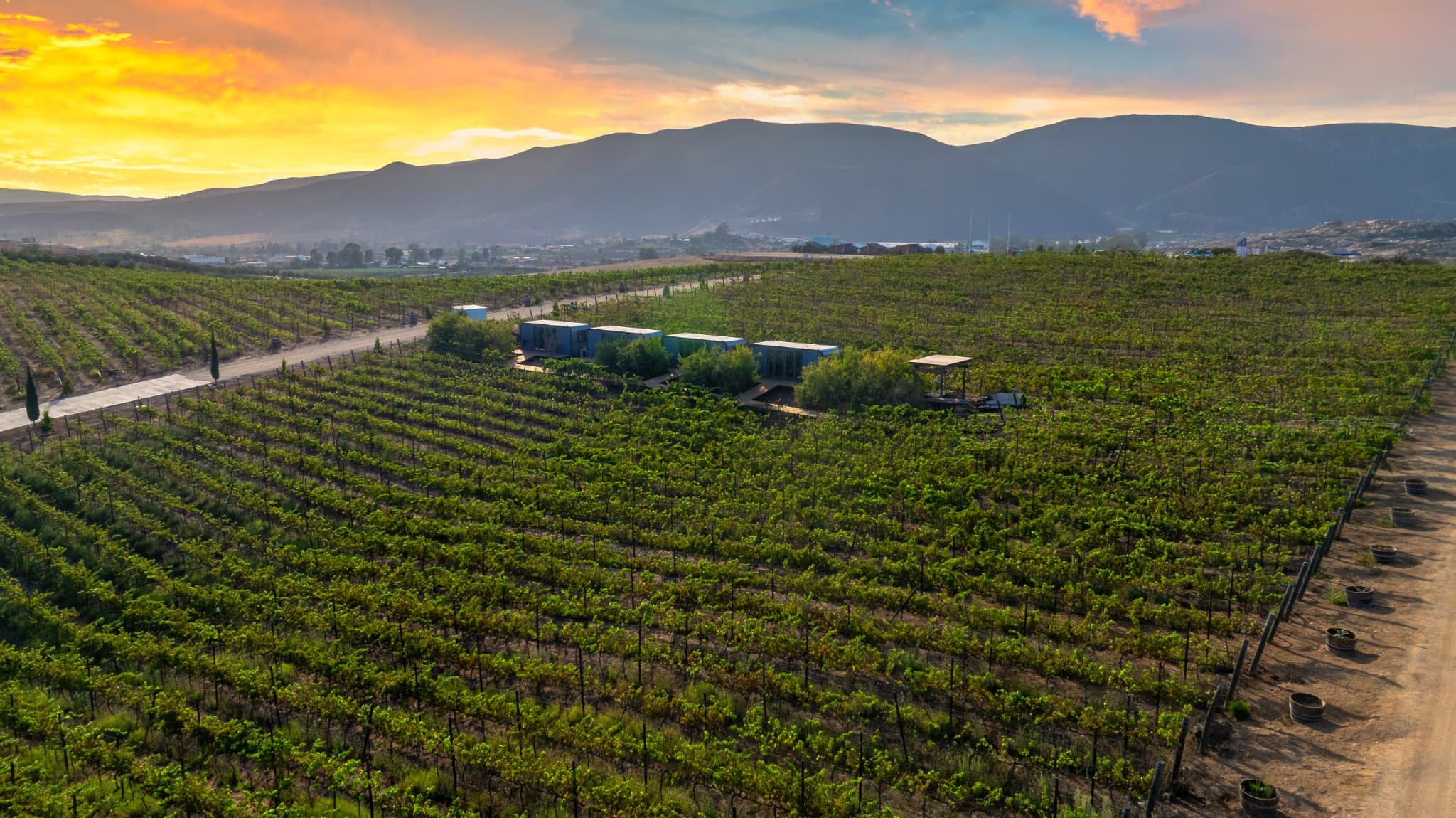 Viñedo de Hacienda Montero con cabinas de hospedaje en Baja California