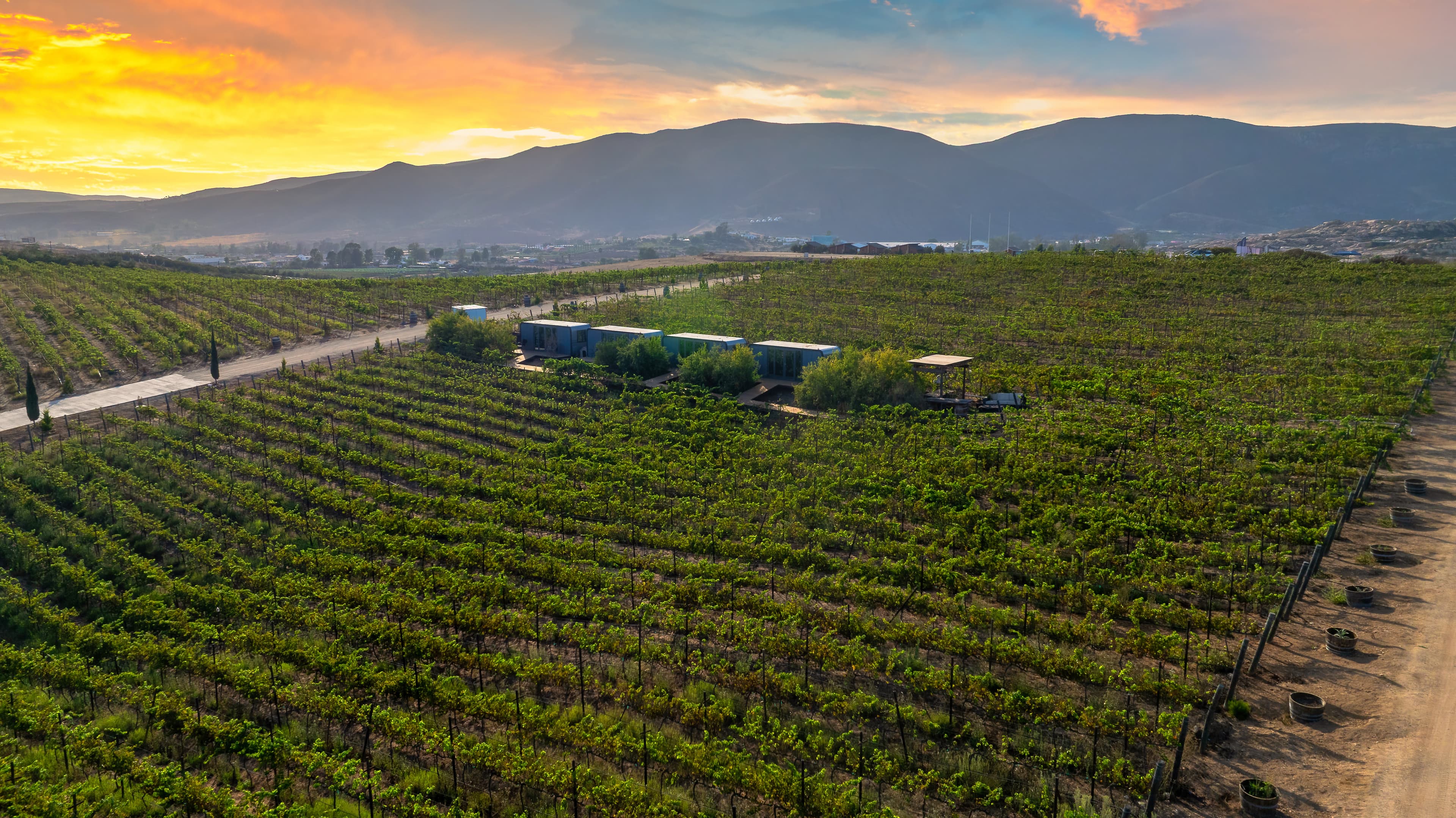 Viñedo de Hacienda Montero con cabinas de hospedaje en Baja California