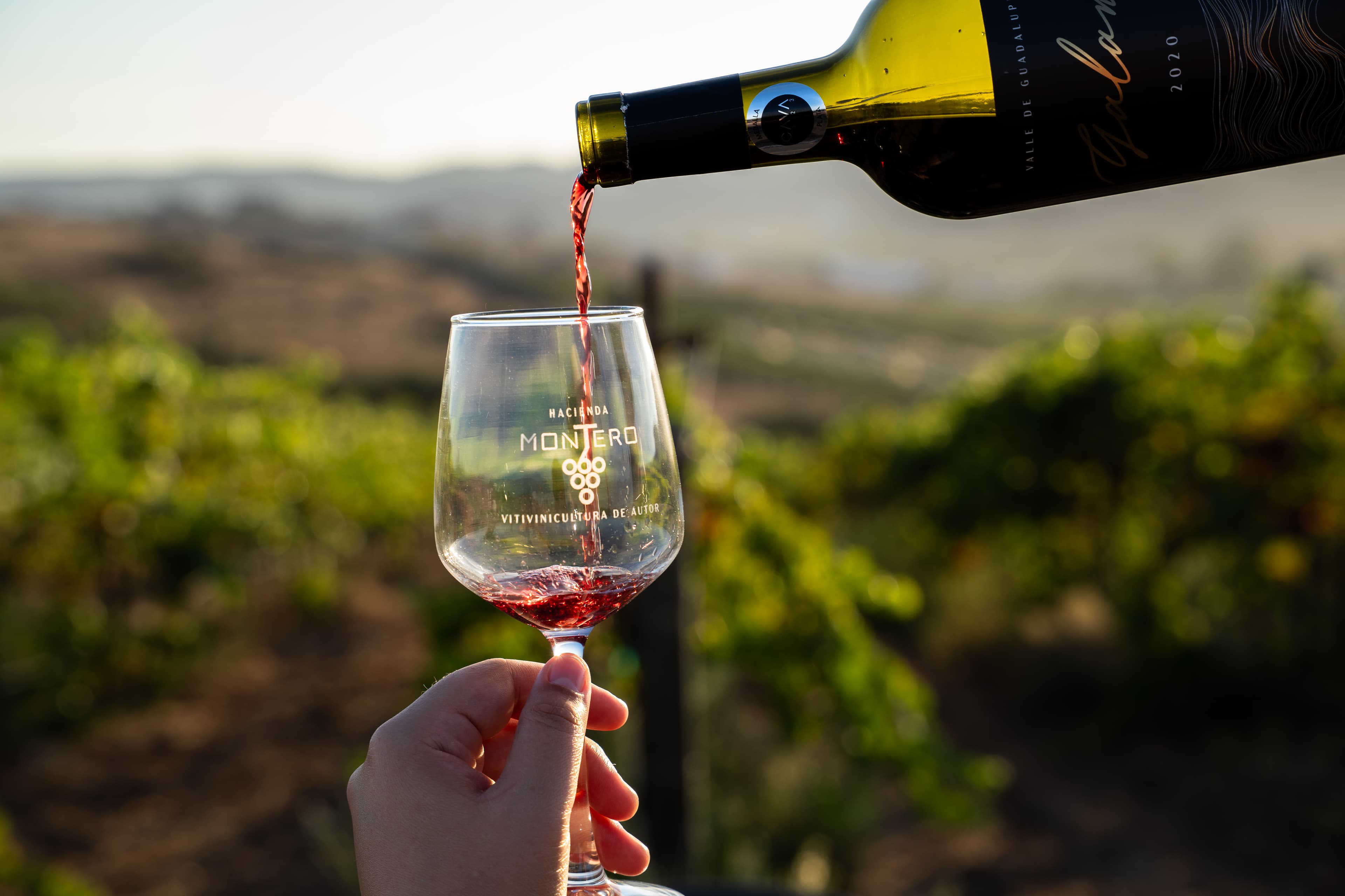 Degustaciones de vino