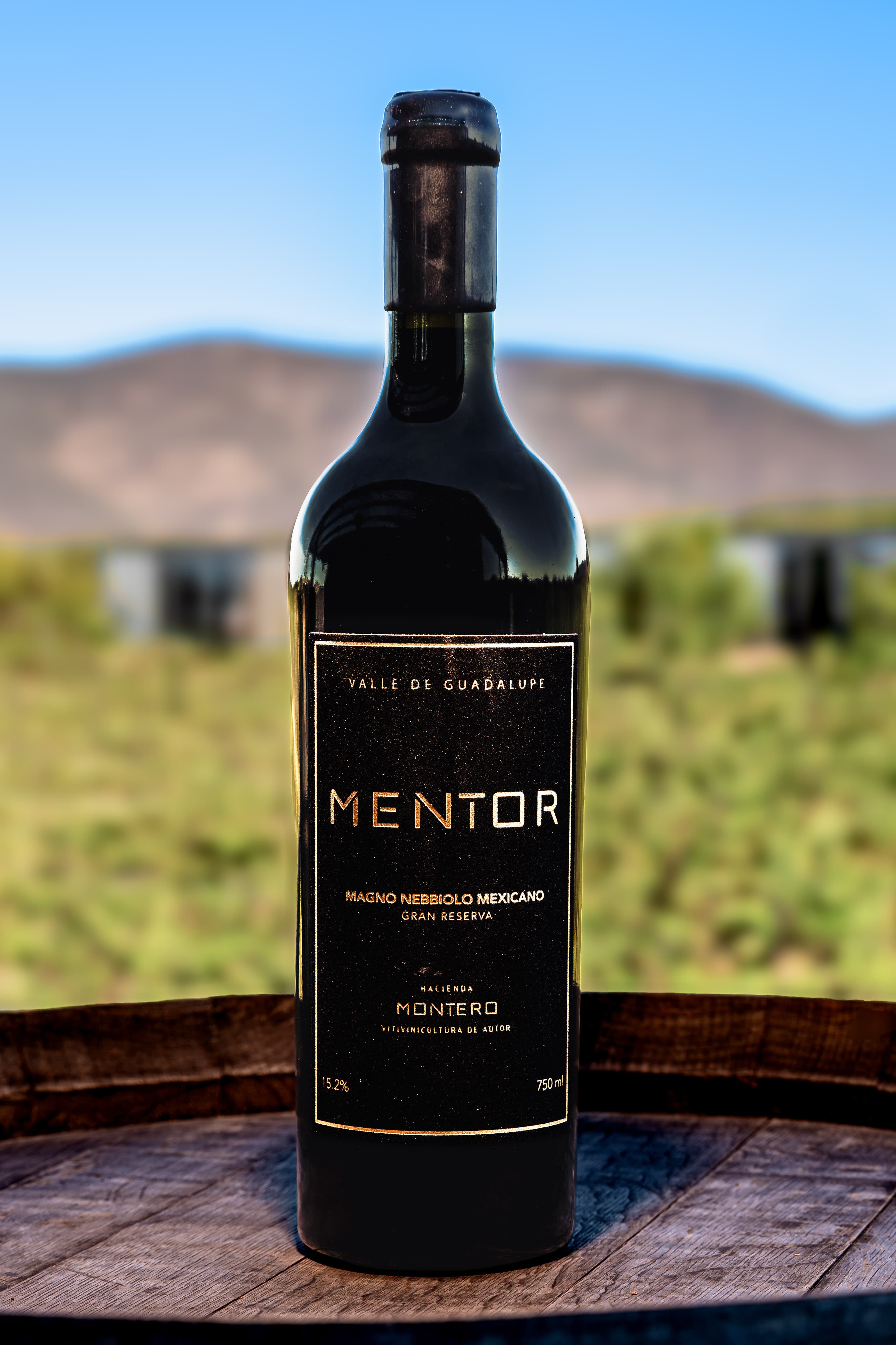 Mentor